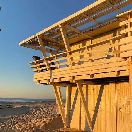 Magnificent Wood-frame Near The Ocean *