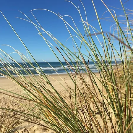 Hébergement de vacances Magnificent Near The Ocean *